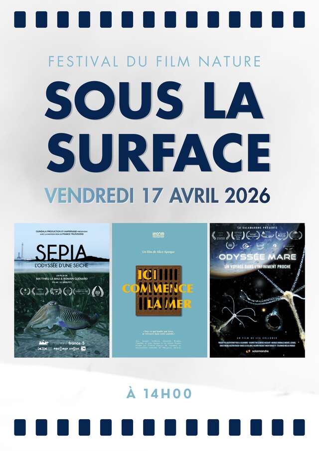 Séance Sous la surface - Festival du Film Nature