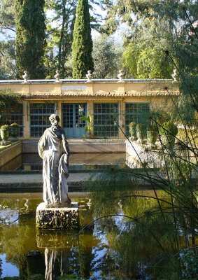 Guided tour: Serre de la Madone garden.