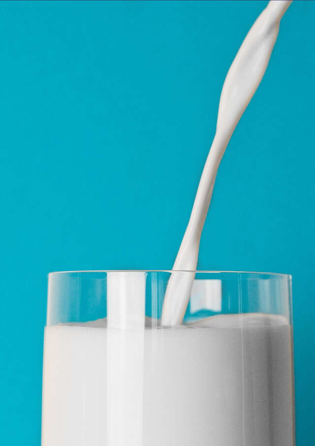 Atelier-repas - Le lait est-il si vache ?