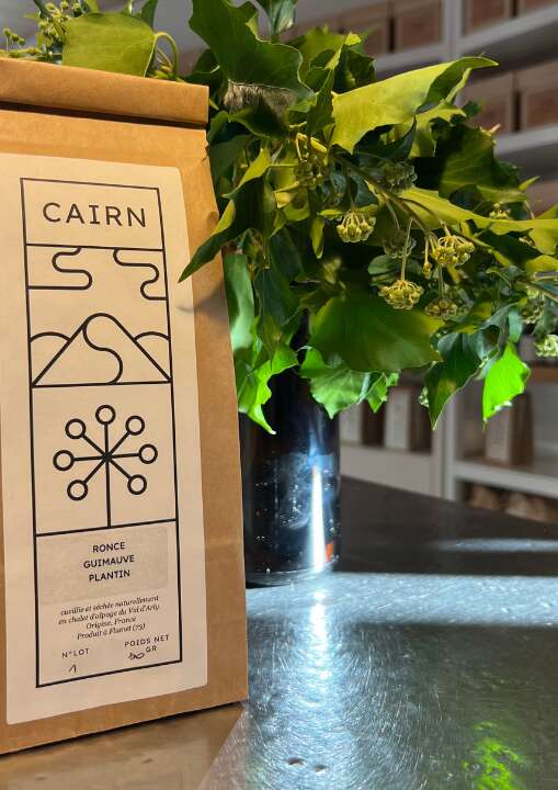 Atelier Tisanes avec Cairn Plantes