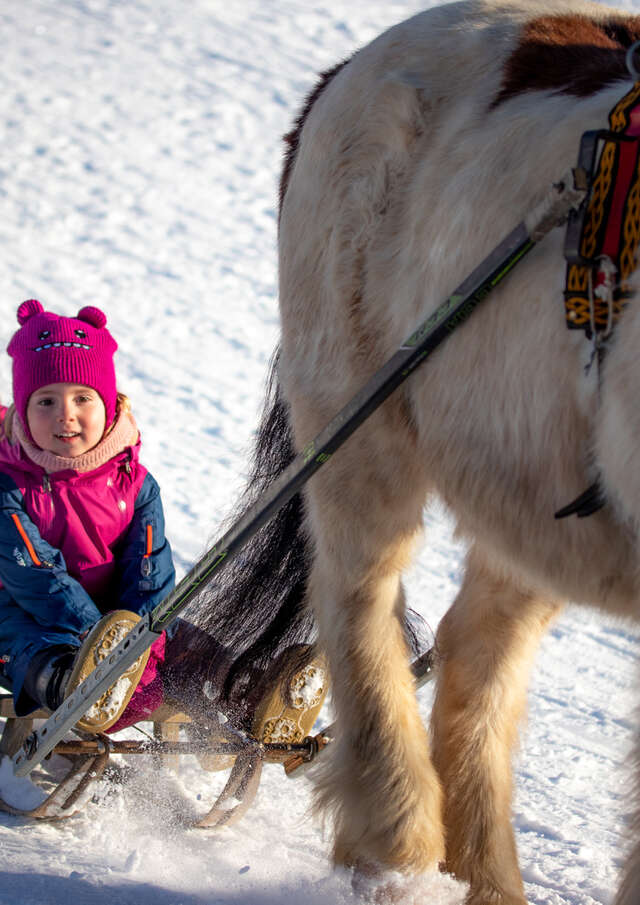 Découverte du poney luge