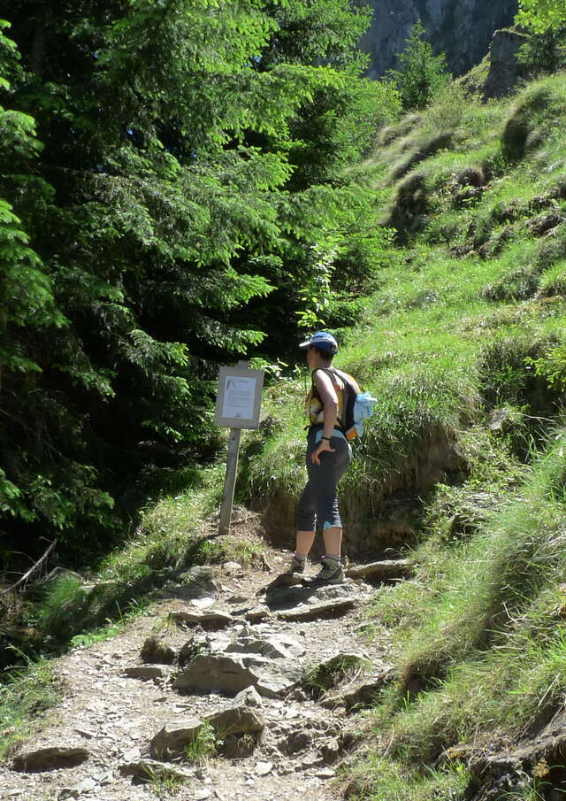 Balade contée sur le chemin de l'alpe du pin (en autonomie)