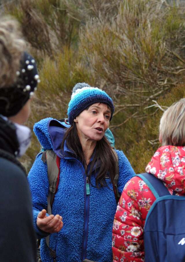 Randonnées raquettes / marche nordique