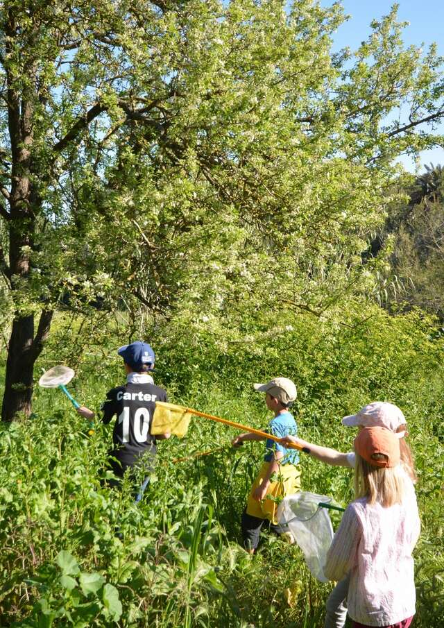 The little trail in the scrubland (guided tour for children)