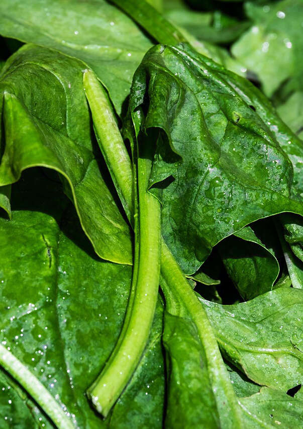 Atelier-repas "L'Iran côté Caspienne, les herbes à l'honneur"