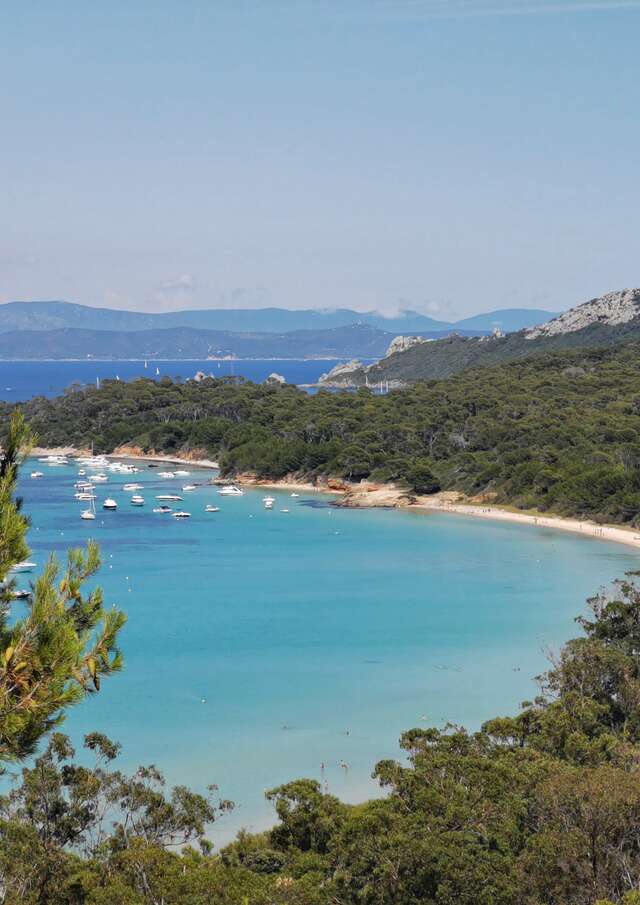 Sortie Découverte avec le Naturoscope et Porquerolles Evasions : Le Parc de la côte au large