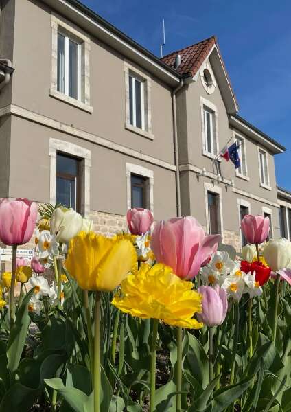 Marboz, suivez le cheminement de l'histoire