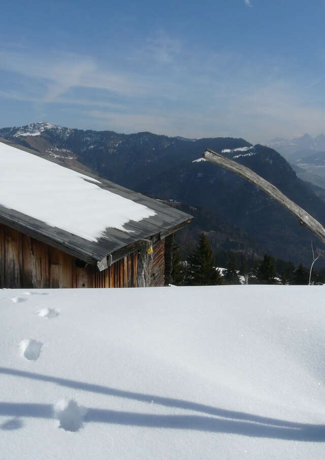 Schneeschuhwanderung "Spaziergang um den Cernix"