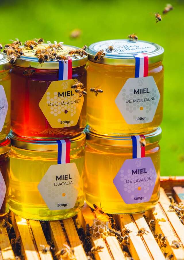 Initiation à la dégustation aux Abeilles de Méllonia