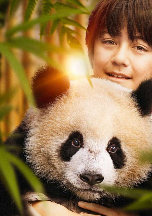 Séance de cinéma "Moon le panda"