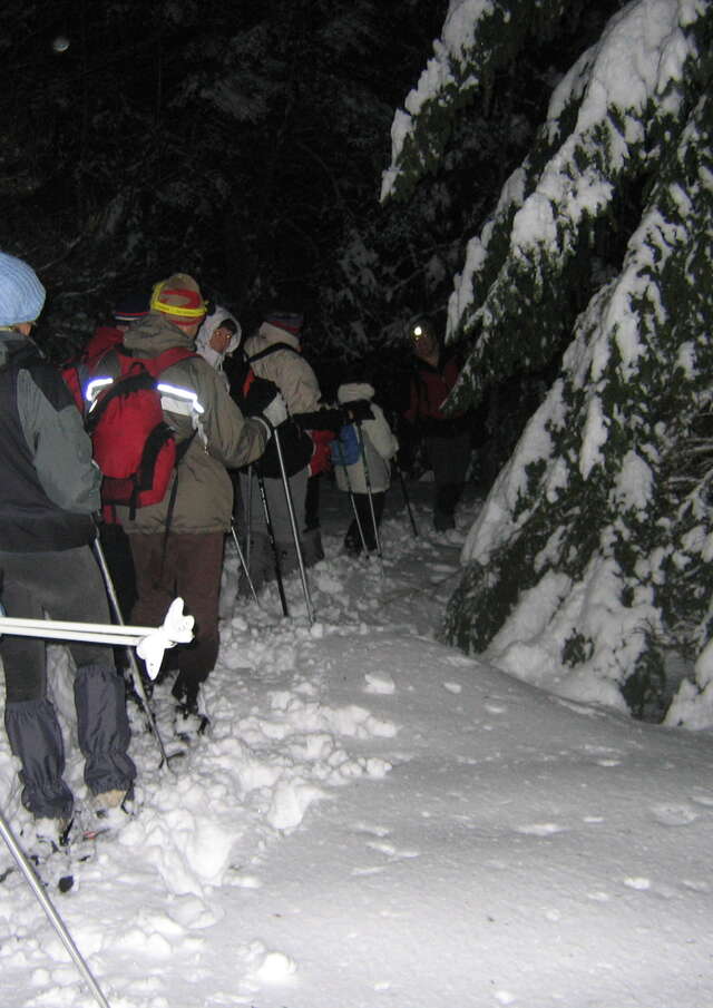 Veillées nordiques en Loire Forez