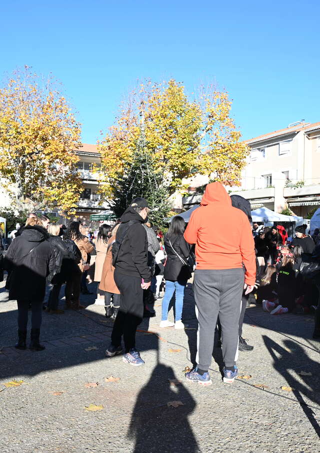 Marché de Noël au coeur de la Penne sur Huveaune