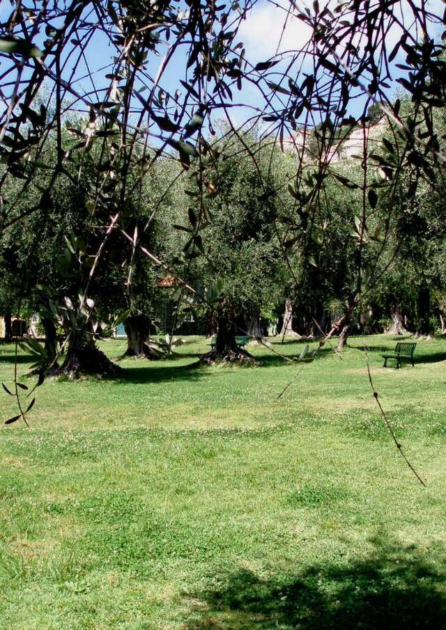 Jardin de l'Olivaie