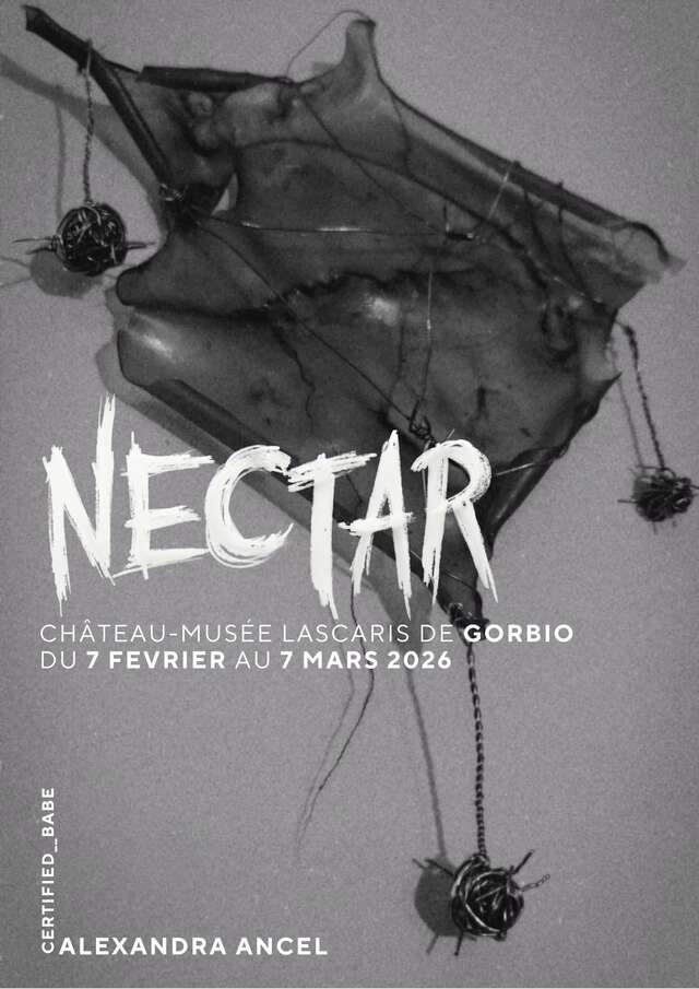 Installation Nectar -  Château-Musée Lascaris - Gorbio