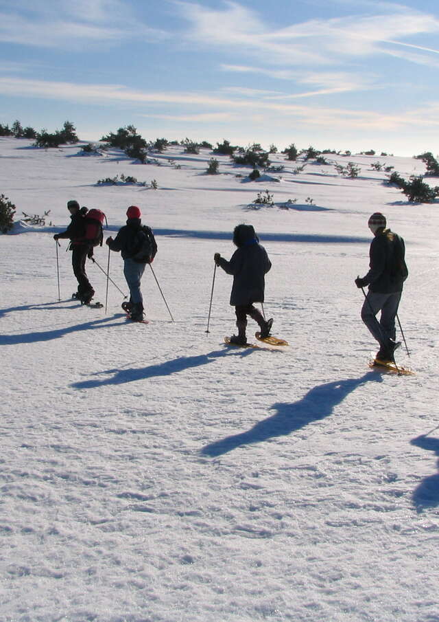Veillées nordiques en Loire Forez