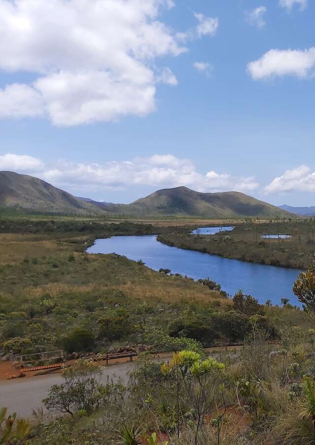 Site de la  Netcha