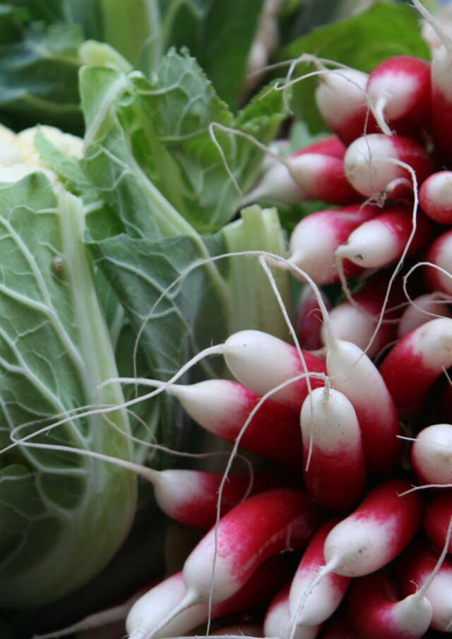 Marché de producteurs locaux