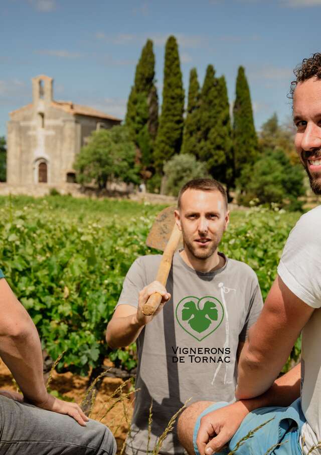 Cave Coopérative Des Vignerons de Tornac