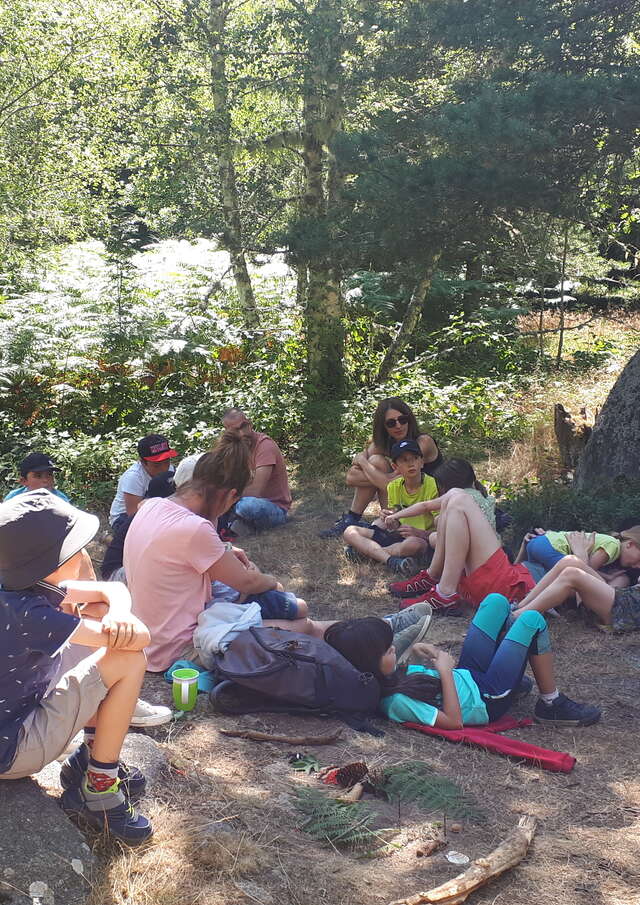 Le mandala des Druides