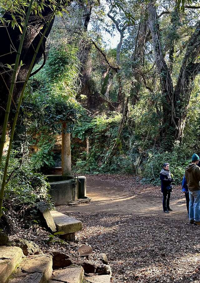 Visite thématique "Balade botanique au fil des saisons"