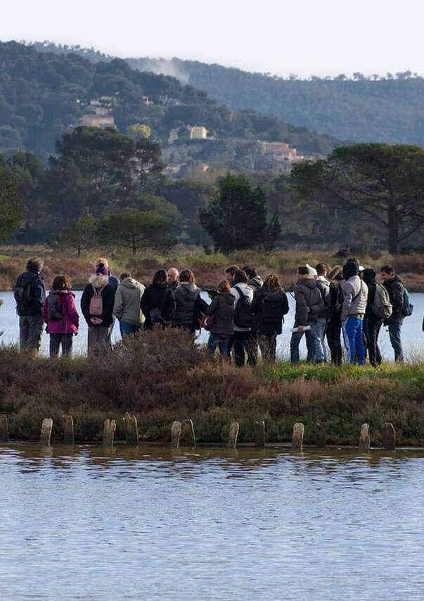 Balade littorale et oiseaux marins aux Vieux Salins
