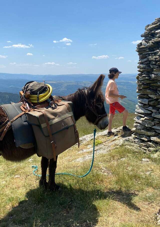 CÉVENNES G'RANDOS D' ÂNES - gérance