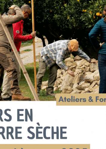 Dry-stone walling" workshops & training in Castillon