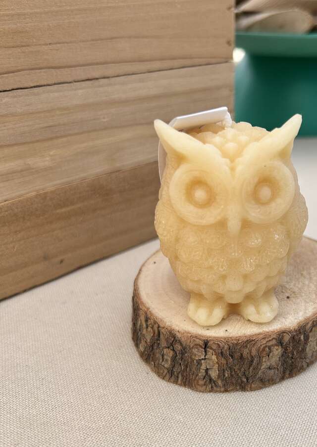 Atelier - Fabrication de bougies