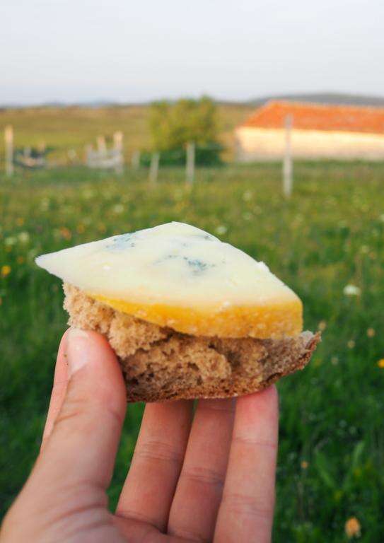 Animations "fromage et paysage"