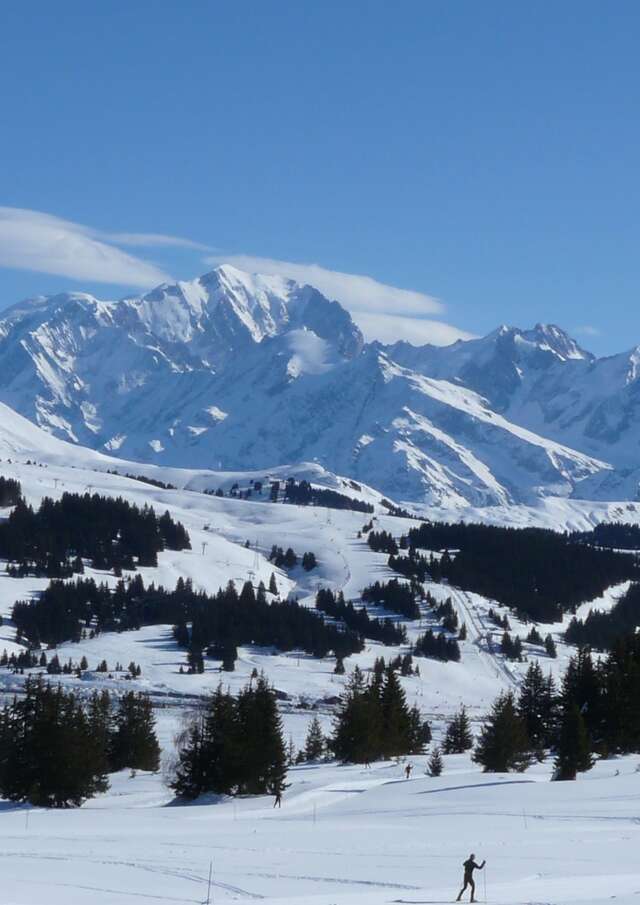 Sortie raquettes à neige Sa majesté le Mont Blanc