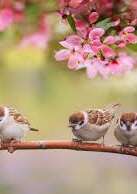 Atelier bien-être de l'été