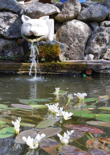 Jardin de l'Argelière