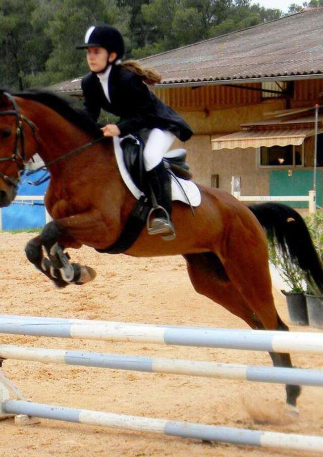 Day horse riding course: TLP Equitation