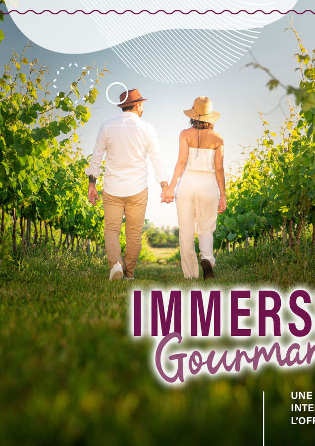 Immersion gourmande : Balade dans les vignes