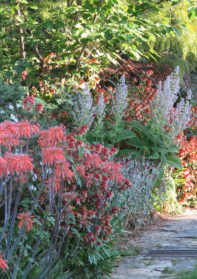 Giardino della Villa Fort France