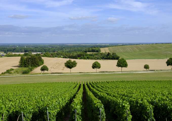 Escapades : Histoire et Champagne à Saint Amand sur Fion