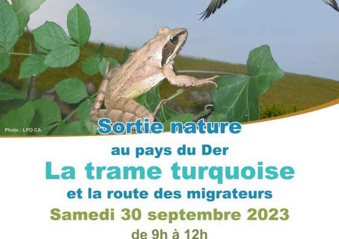 Sortie nature : "La trame turquoise et la route des migrateurs