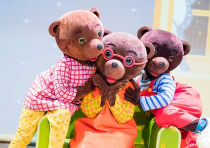 Petit Ours Brun