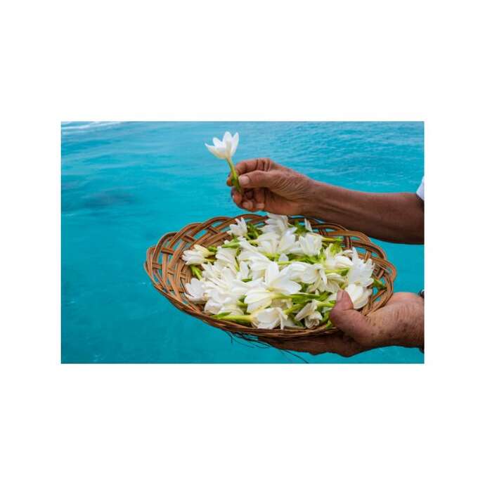 The Islands of Tahiti China Seminars 2025