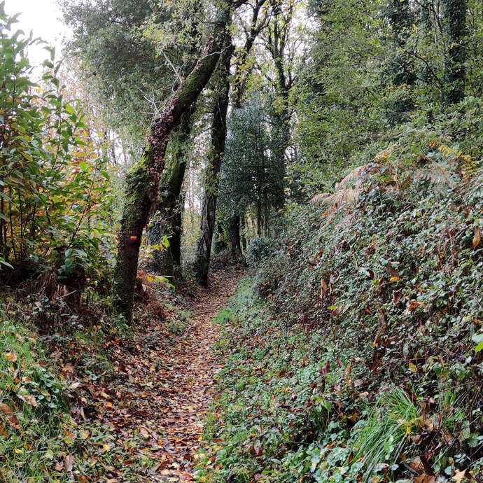 Balade découverte du circuit La Noé des Dames