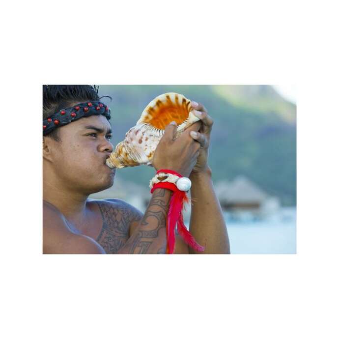 The Islands of Tahiti Japan Seminars 2025