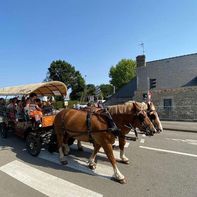 Balades en calèche