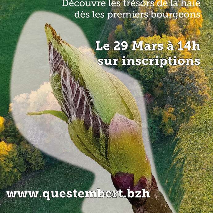 Animation nature "ABC Haie'M ta Haie"