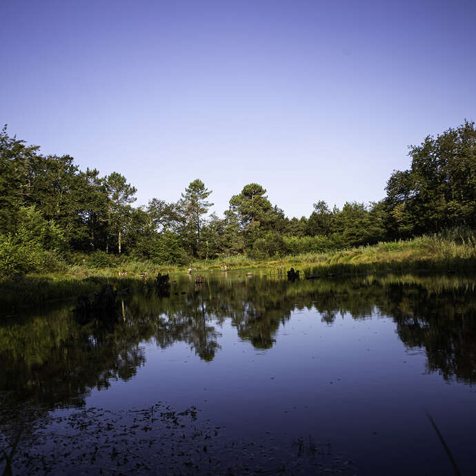 Centre de Biodiversité Jean Rostand