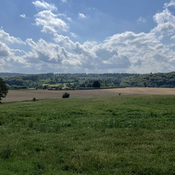 AU LOIN, LES FORÊTS...(SVA)