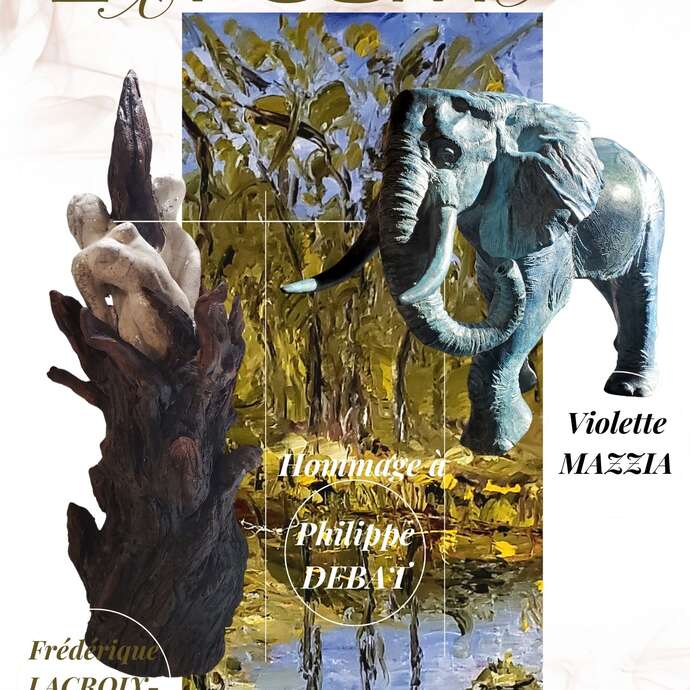 Expositions Hôtel de Maleville