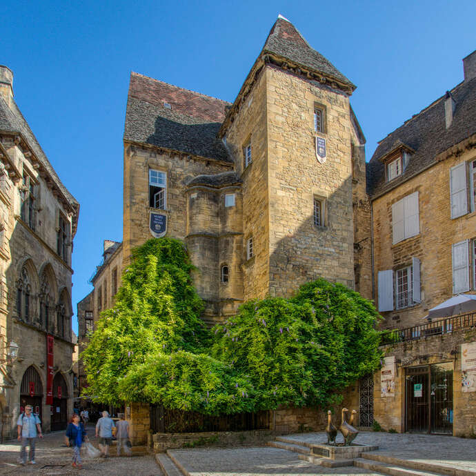 Musée de la truffe