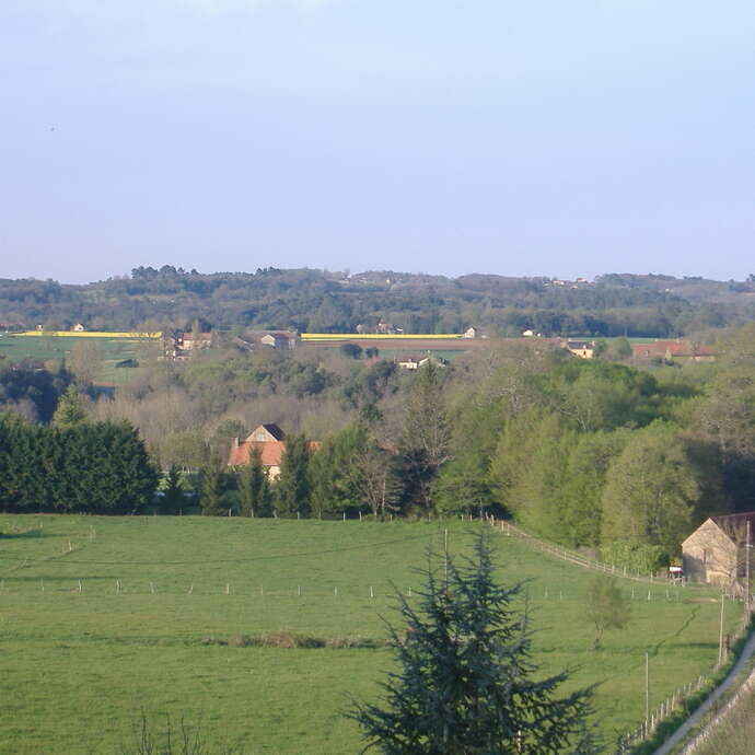 les Sangliers