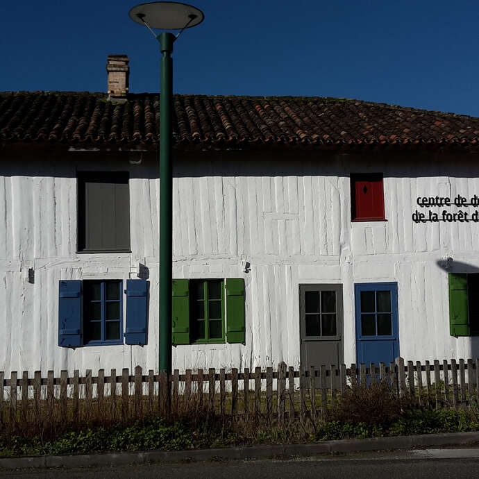 Graine de forêt - Centre de découverte de la forêt des Landes Graine de forêt - Centre de découverte de la forêt des Landes