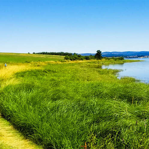 LE RONDIN PARC - LOCATION DE VELO